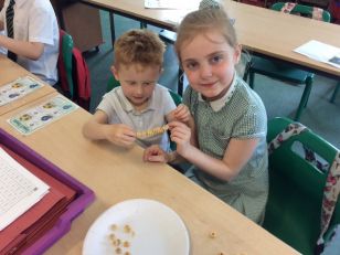 P3C/W and Nursery - Caterpillar Buddies